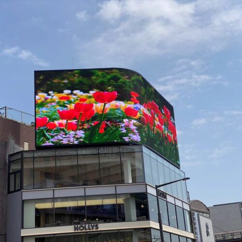 微信图片_20240624111409